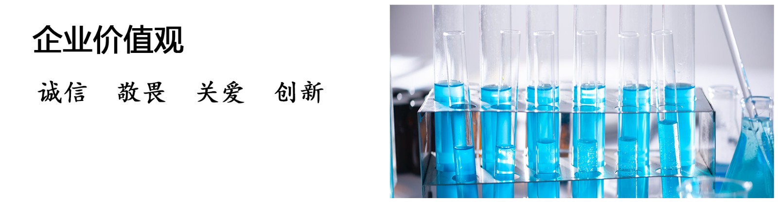 1598583002479304.jpg 企業(yè)文化3.jpg